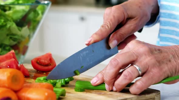 Hands of senior woman preparing vegetable salad