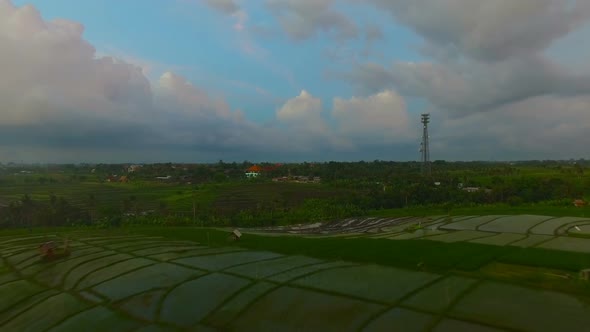 Wet Rice Fields And Motorbikes On Road At Evening Sunset