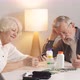 Senior Couple Using Glucometer For Blood Sugar Monitoring - VideoHive Item for Sale