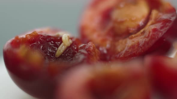 White Worms Crawl Together Into Core of Ripe Red Cherry with Juicy Pulp Macro