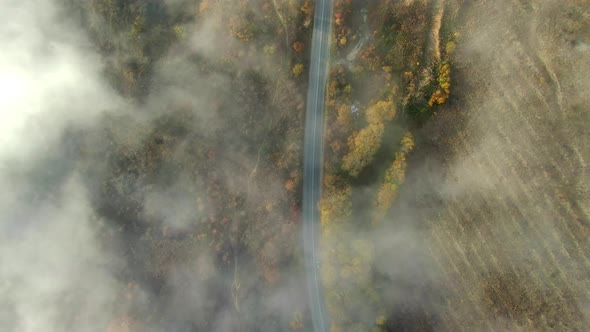 AERIAL Cars Driving Along Country Road Through Autumn Forest Aerial Top Down View. Fall Colors of