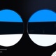 Estonia Flag - VideoHive Item for Sale
