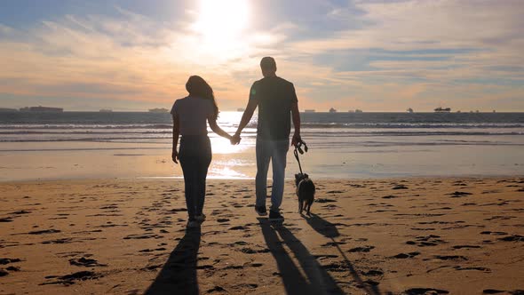 Couple walking their dog on the beach