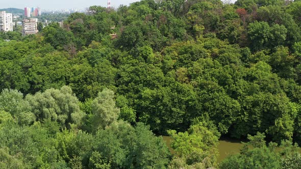 Nice top view of the park, forest covered with greenery. Small houses in the background.