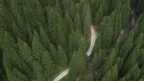 Descent From The Air Over A Road And Fresh Evergreen Forest In The Mountains