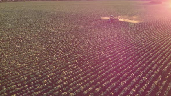 Aerial View of Farming Tractor Spraying on Field with Sprayer, Herbicides and Pesticides at Sunset