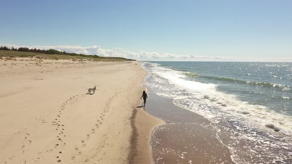 Young girl is running with her dog along the beach, view from drone