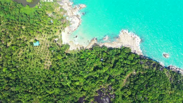 Tropical island beach with palm forest and small river Thailand. Vertical background