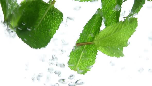 Fresh mint leaves in water with air bubbles