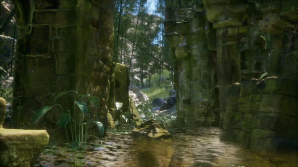 Ruined Ancient Stone House Overgrown with Plants and Ferns in Dense Green Forest