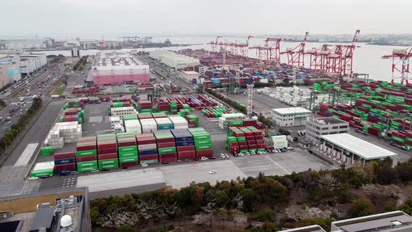 Timelapse Various Cranes in Modern Tokyo Container Terminal