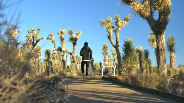 A fit young man on a morning jog workout running until he needs to catch his breath through a desert