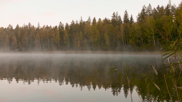 Morning Fog Over the Lake Next To the Autumn Forest