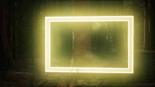 Neon Glowing Rectangle Frame in the Night Forest alt