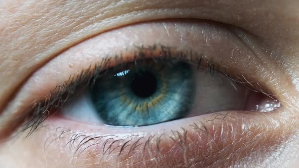 Beautiful Blue Woman Eye, Extreme Close-up. Sight. Detail View Young Girl's Eye