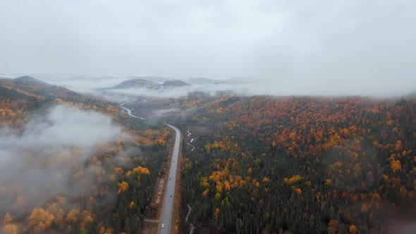 A drone camera moves along a road with cars in a dense mixed forest in Quebec, Canada