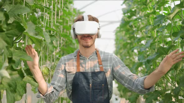 .young caucasian worker wearing VR headset  in melon farm.