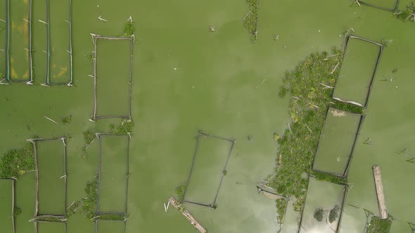 Top aerial view of traditional floating fish pond on swamp in Indonesia