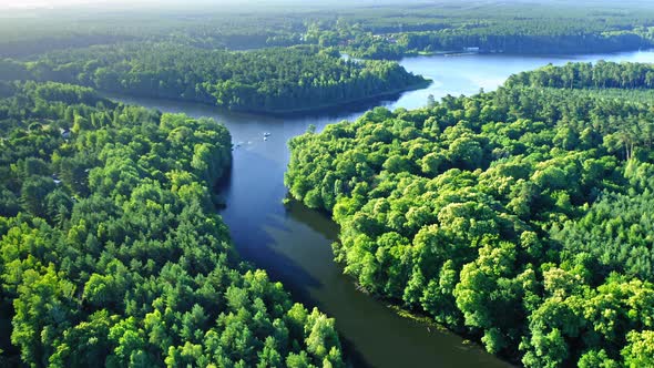 Curvy river between forest. Aerial view of wildlife in Poland
