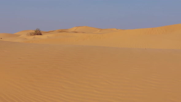 Movement From One Dune to Another in Desert