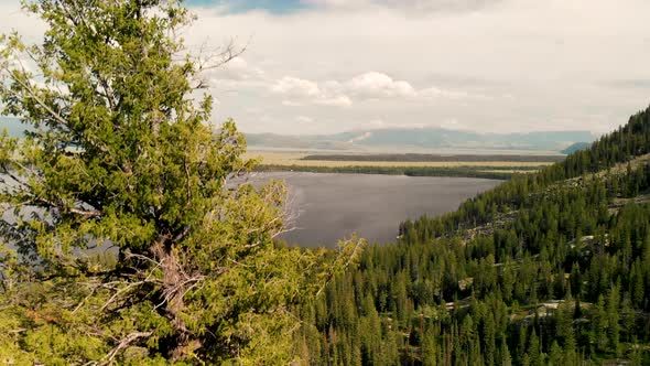 Aerial View of Jenny Lake in Grand Teton National Park