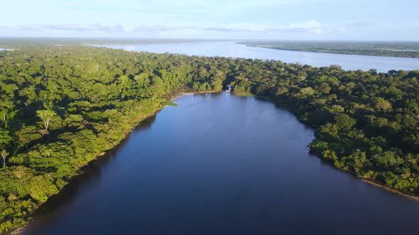 Aerial view moving forward shot, scenic view of the amazon river and its forest in Colombia, sunrise