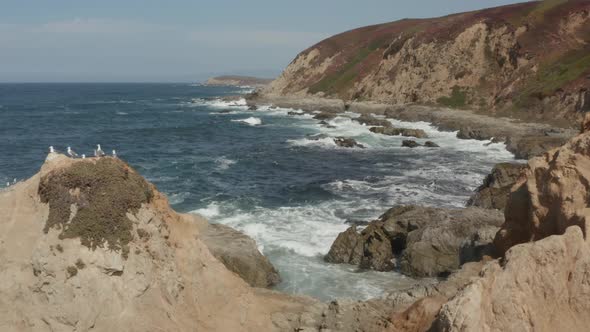 Aerial video of the Coast Northern California Bodega Bay