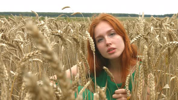 Walk on Wheat Field