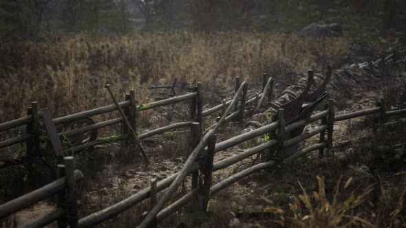 Russian Old Village on the Edge of the Forest is Destroyed