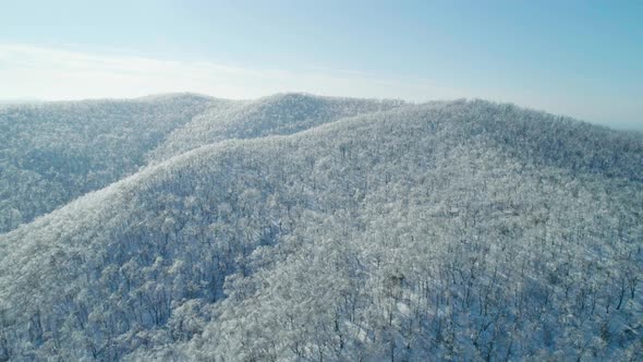 Aerial Winter Mountain Landscape of a Frozen Forest with Snow and Ice Covered Trees on a Sunny