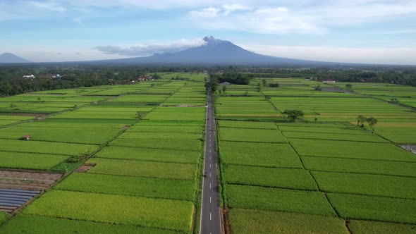 Beautiful Landscape of Yogyakarta