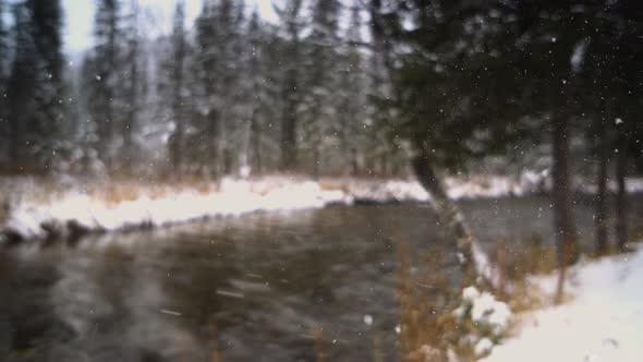 River Coast Covered with Snow