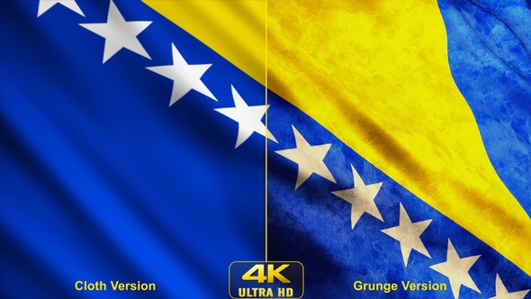 Bosnia And Herzegovina Flags