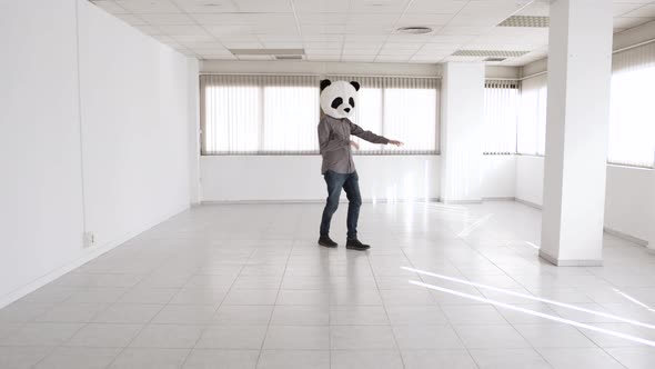 Cheerful Man in Panda Mask Dancing in a New Empty Office