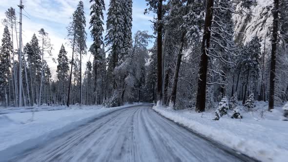 Driving through Yosemite National Park in the winter