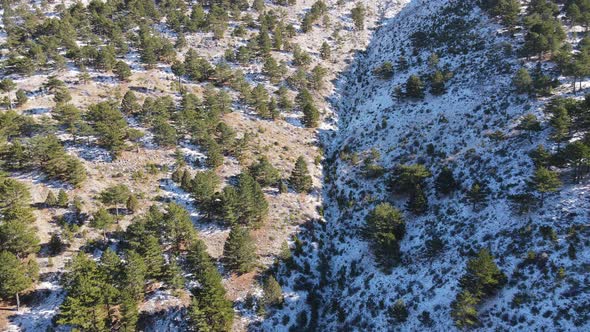 First Snow on the Mountain