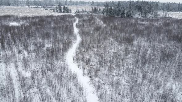 Winter Snow Covered Field with Forest and Path Flying