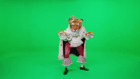 Fabulous Character Tiger Moves Gracefully and Performs Tricks on a Green Background Tiger Year