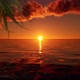 Sunset on the ocean with palm leaf and clouds - VideoHive Item for Sale