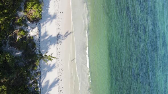 Zanzibar Tanzania  Vertical Video of the Ocean Near the Coast Slow Motion