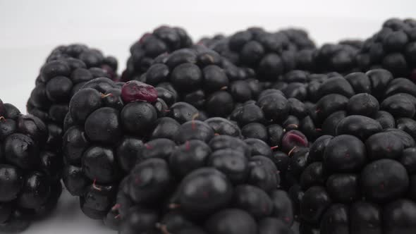 Fresh Blackberries Close Up on White