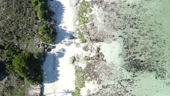 Empty Beach on Zanzibar Island Tanzania Slow Motion