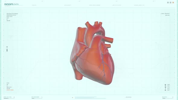 Using Futuristic Medical Scan Equipment To Analyze Vessels Of Human Heart Organ alt