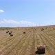 Beautiful Rural Landscape with Rolls of Hay on Agricultural Wheat Field - VideoHive Item for Sale
