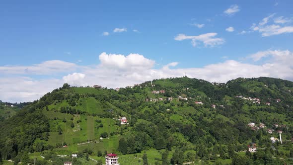 Nature Of Rize