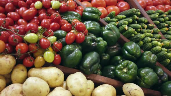 Autumn Harvest of Different Vegetables and Root Crops. Background of Vegetables