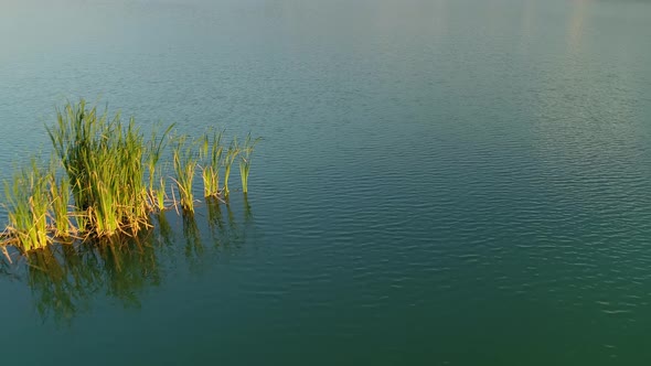 Tranquil water of Frydman lake with reeds in Poland, aerial
