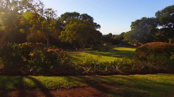 View of beautiful park