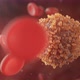 Cancer Cells Blood Vessel - VideoHive Item for Sale