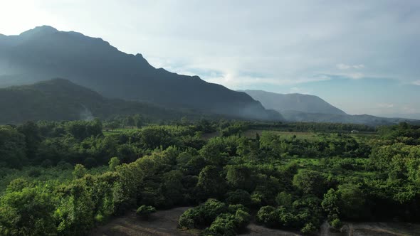 Aerial landscape view of greenery rainforest and hills on foggy day by drone